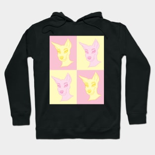 Furry Pink Lemonade Hoodie